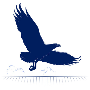 Soaring Eagle Logo